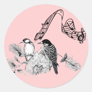  vogels ronde sticker