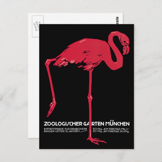 vogels, roze Flamingo Briefkaart (Voorkant / Achterkant)