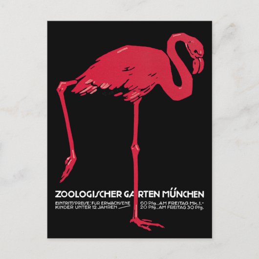  vogels, roze Flamingo Briefkaart (Voorkant)