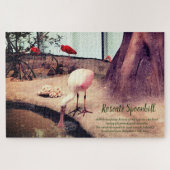 Vogels Rozeate Spoonbill Legpuzzel (Horizontaal)