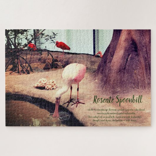 Vogels Rozeate Spoonbill Legpuzzel (Horizontaal)