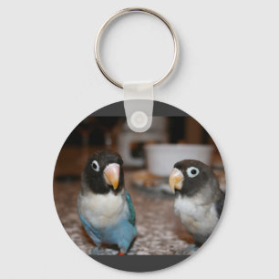 vogels sleutelhanger