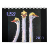 VOGELS, SOMMIGE STRANGE, 2011 KALENDER (Hoes)