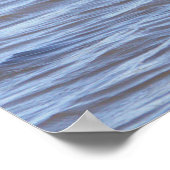 Vogels staan in het Water Poster (Hoek)