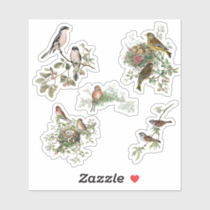vogels sticker