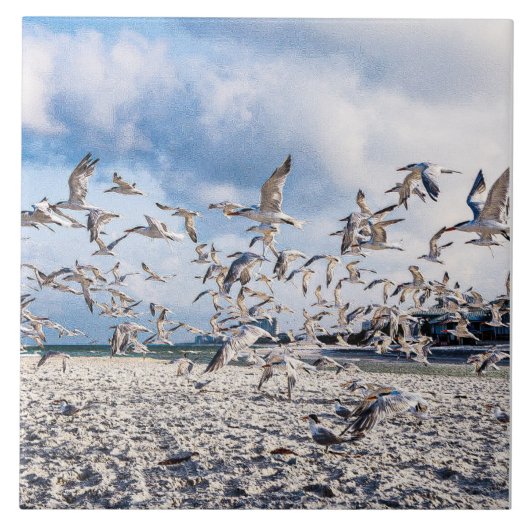 Vogels stijgen tegeltje (Voorkant)