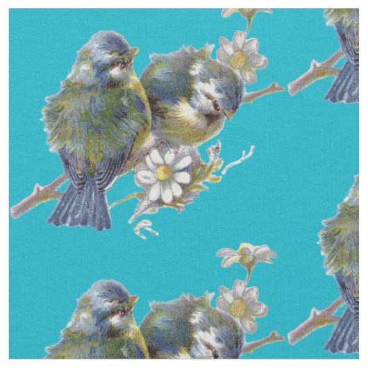 vogels stof (Close Up)