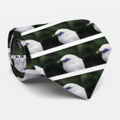 vogels stropdas (Opgerold)