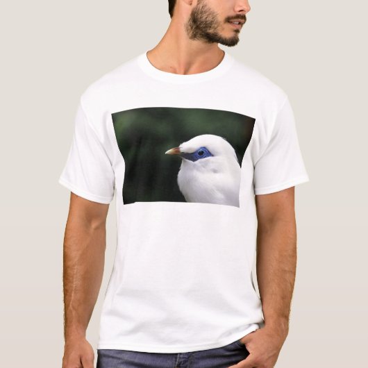 vogels t-shirt (Voorkant)