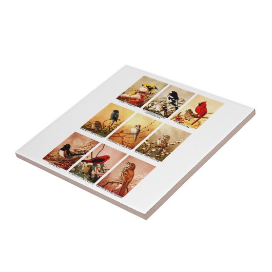 vogels tegeltje (Zijkant)