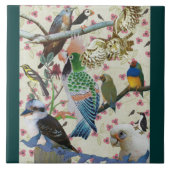  vogels tegeltje (Voorkant)