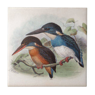  vogels tegeltje