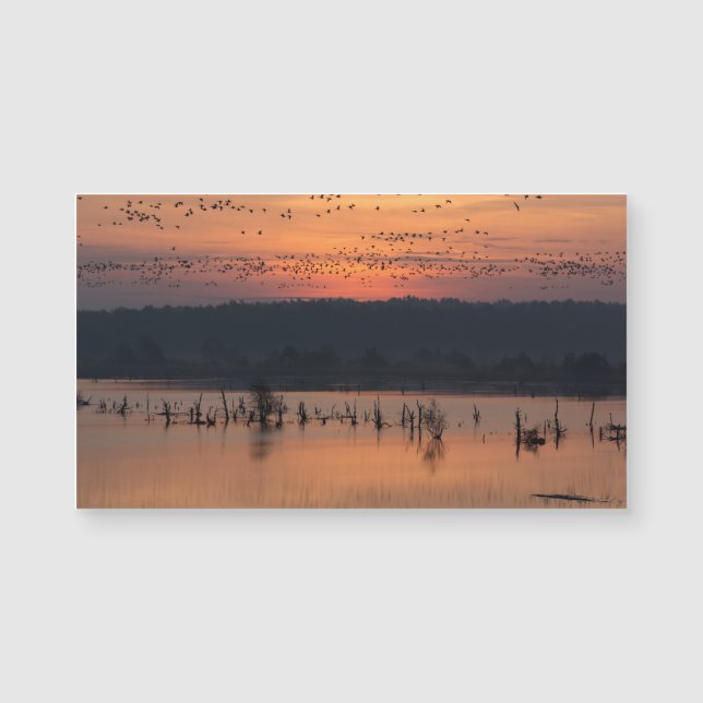 Vogels tegen zonsopgang (Voorkant)