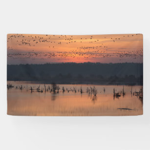 Vogels tegen zonsopgang spandoek
