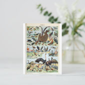  vogels ter wereld briefkaart (Staand voorkant)