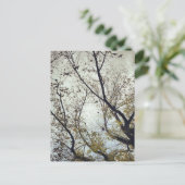 Vogels tussen bomen briefkaart (Staand voorkant)