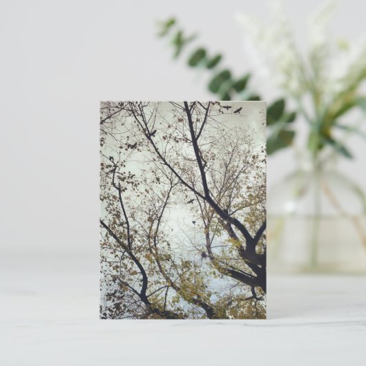 Vogels tussen bomen briefkaart (Staand voorkant)