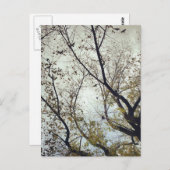 Vogels tussen bomen briefkaart (Voorkant / Achterkant)