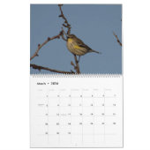 Vogels uit Noord-Amerika in 2017 Kalender (Mar 2026)