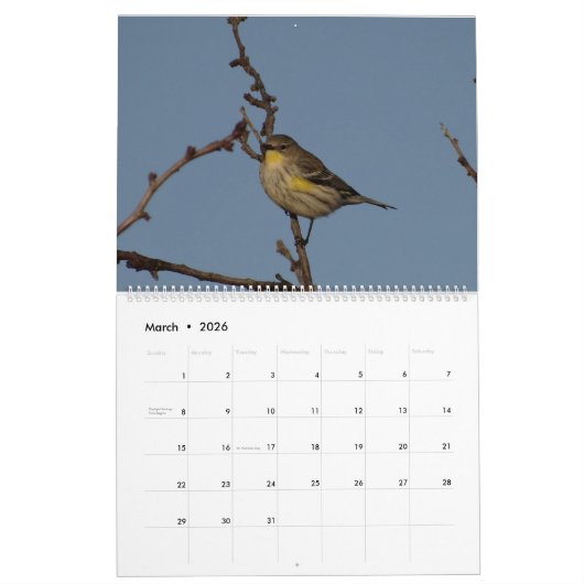 Vogels uit Noord-Amerika in 2017 Kalender (Mar 2026)