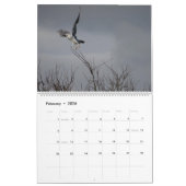Vogels uit Noord-Amerika in 2017 Kalender (Feb 2026)