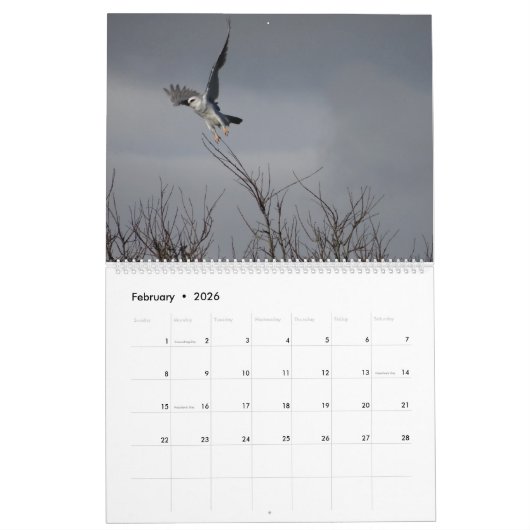 Vogels uit Noord-Amerika in 2017 Kalender (Feb 2026)