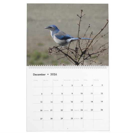 Vogels uit Noord-Amerika in 2017 Kalender (Dec 2026)