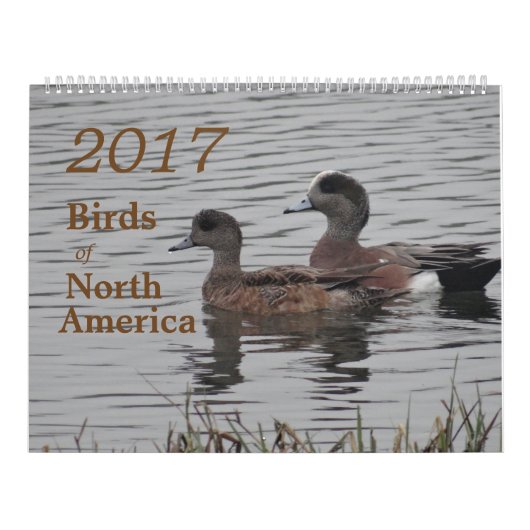 Vogels uit Noord-Amerika in 2017 Kalender (Hoes)