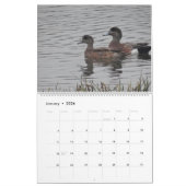 Vogels uit Noord-Amerika in 2017 Kalender (Jan 2026)