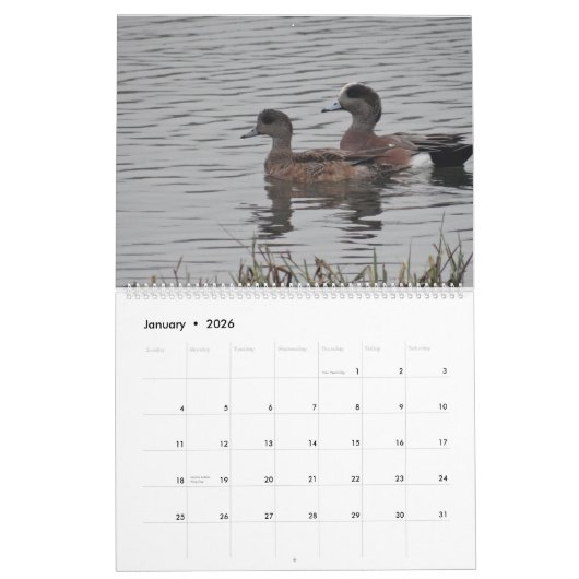 Vogels uit Noord-Amerika in 2017 Kalender (Jan 2026)