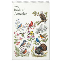 Vogels van Amerika - Enkele pagina 2027