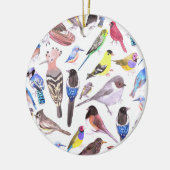 vogels van Amerika- huisdieren en wilde vogels Keramisch Ornament (Links)