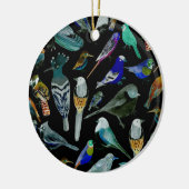 vogels van Amerika- huisdieren en wilde vogels Keramisch Ornament (Links)