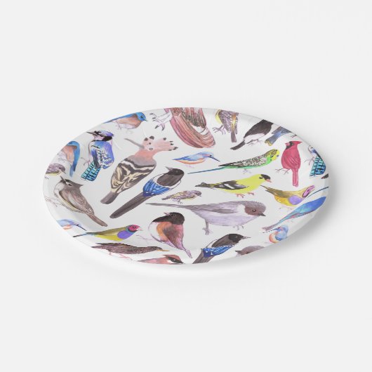 vogels van Amerika- huisdieren en wilde vogels Papieren Bordje (Gekanteld)