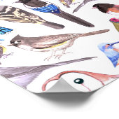 vogels van Amerika- huisdieren en wilde vogels Poster (Hoek)