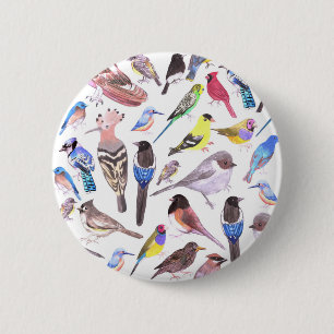 vogels van Amerika- huisdieren en wilde vogels Ronde Button 5,7 Cm