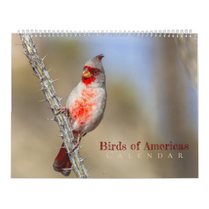 Vogels van Amerika Kalender