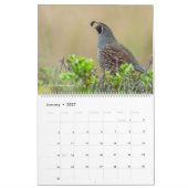 Vogels van Amerika Kalender (Jan 2027)