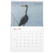 Vogels van Amerika Kalender (Mar 2027)