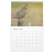 Vogels van Amerika Kalender (Feb 2027)