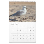 Vogels van Amerika Kalender (Jan 2027)