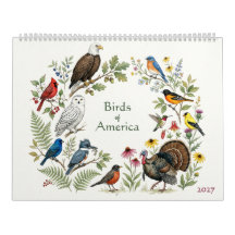 Vogels van Amerika - Tweepagina 2027