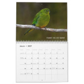 Vogels van Australië Foto Kalender (Mar 2027)