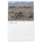 Vogels van Australië Foto Kalender (Feb 2027)