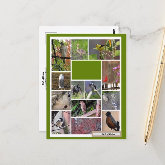 Vogels van Boston Briefkaart (Voorkant / Achterkant in situ)
