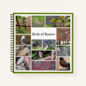 Vogels van Boston Notitieboek (Voorkant)