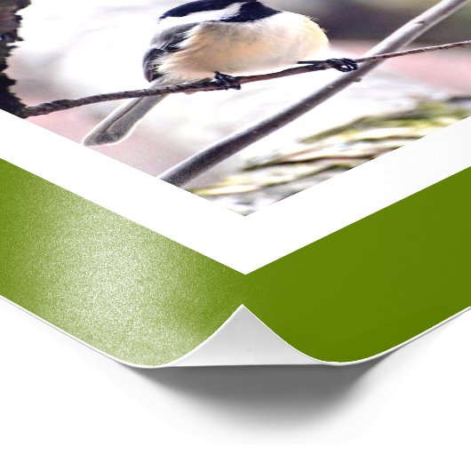 Vogels van Boston Photo Collage Foto Afdruk (Hoek)