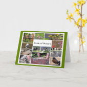 Vogels van Boston Photo Collage Kaart (Gele Bloem)