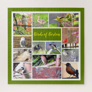 Vogels van Boston Photo Collage Legpuzzel