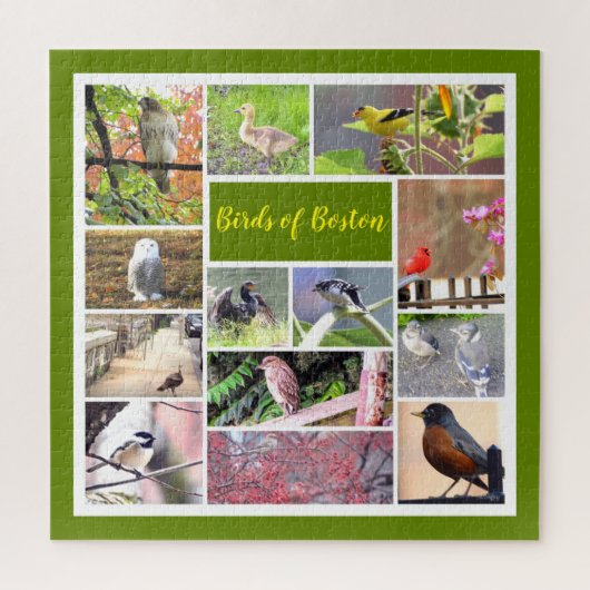 Vogels van Boston Photo Collage Legpuzzel (Verticaal)